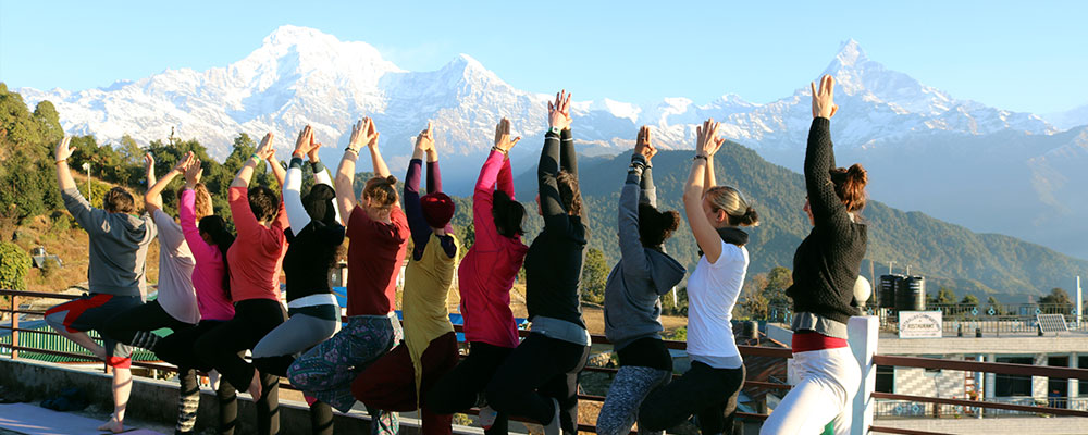 Authentic Yoga Detox & Shatkarma at the Nagarjun Forest Edge